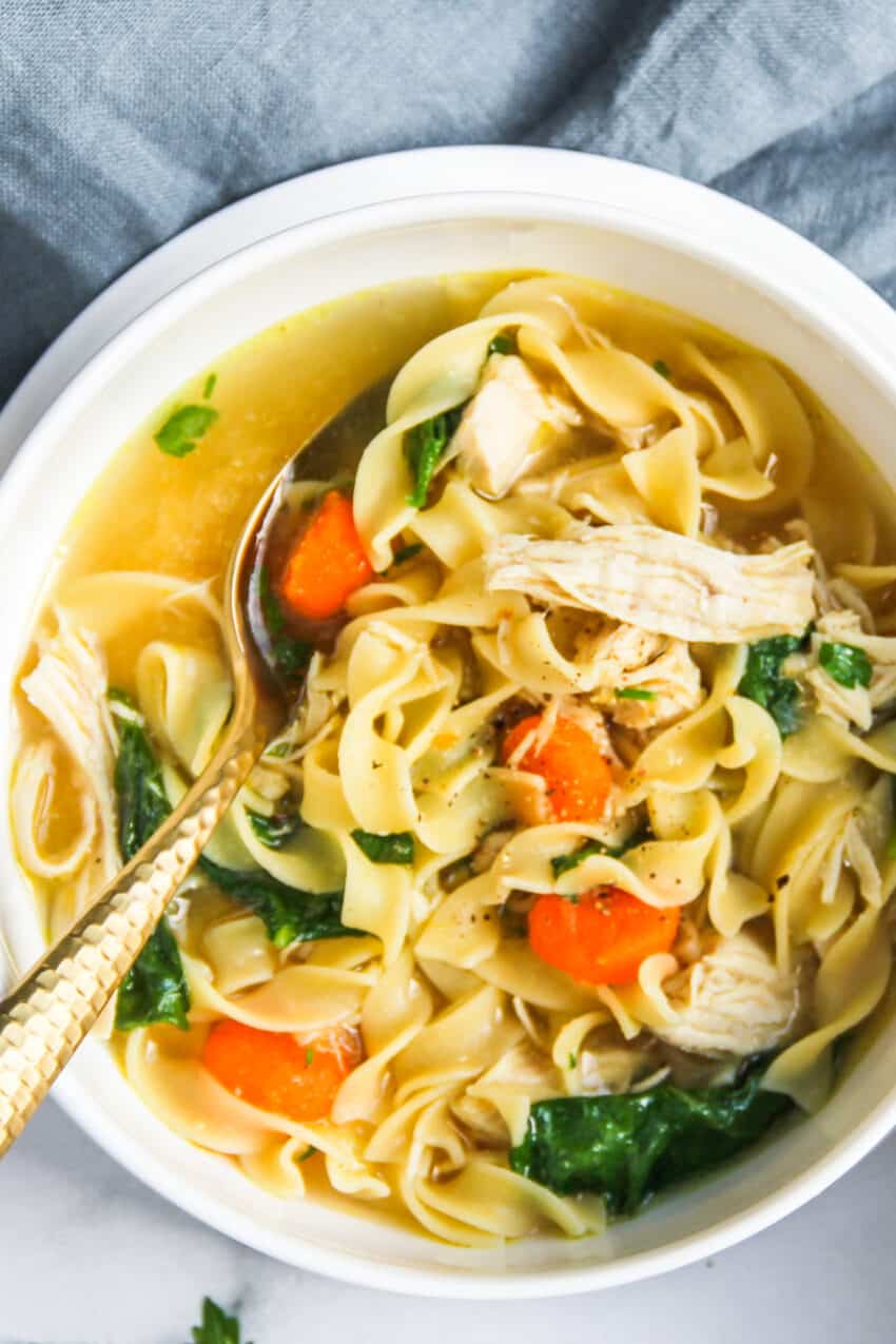 bowl of chicken noodle soup