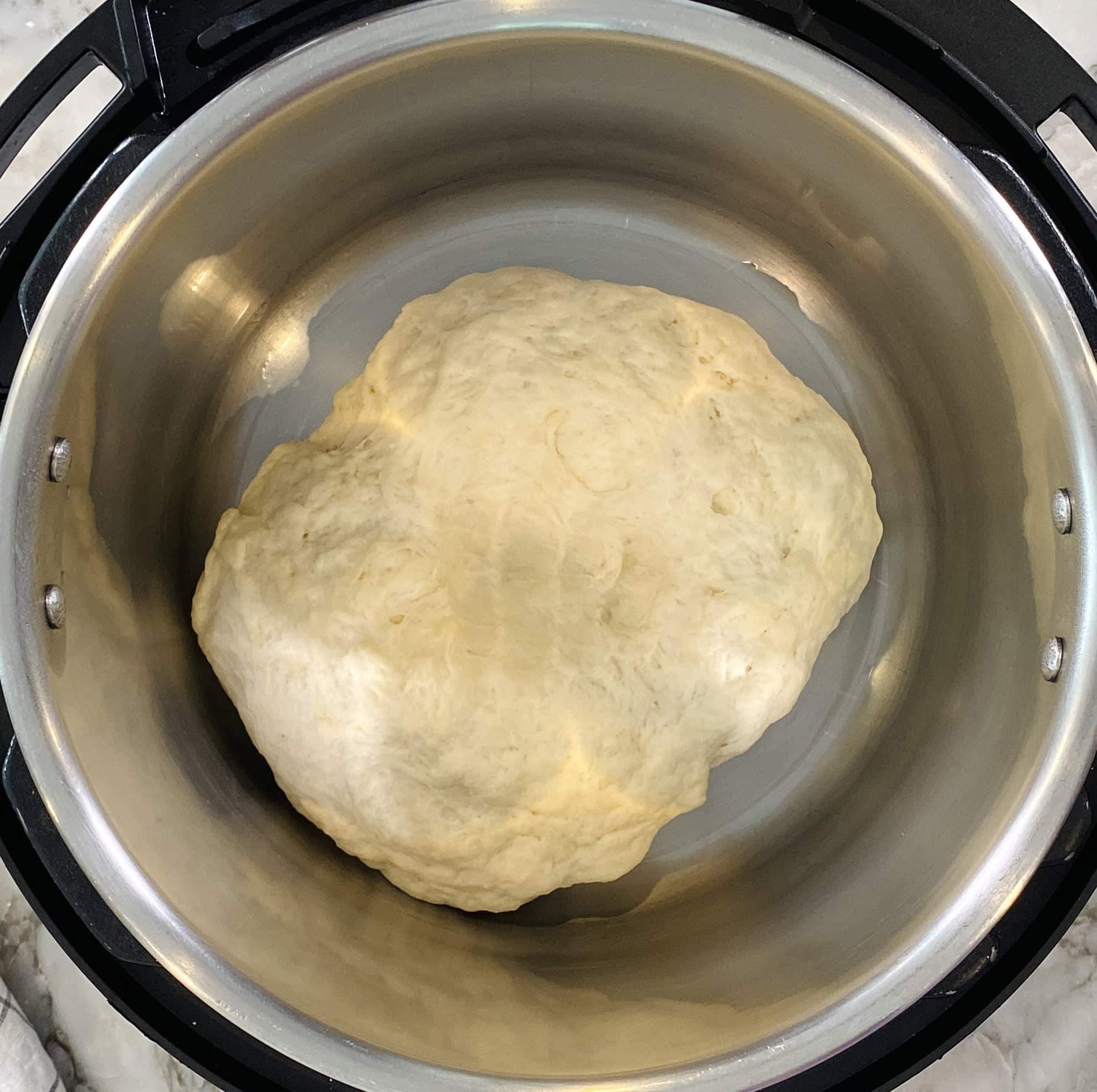 doubled naan dough in the Instant Pot