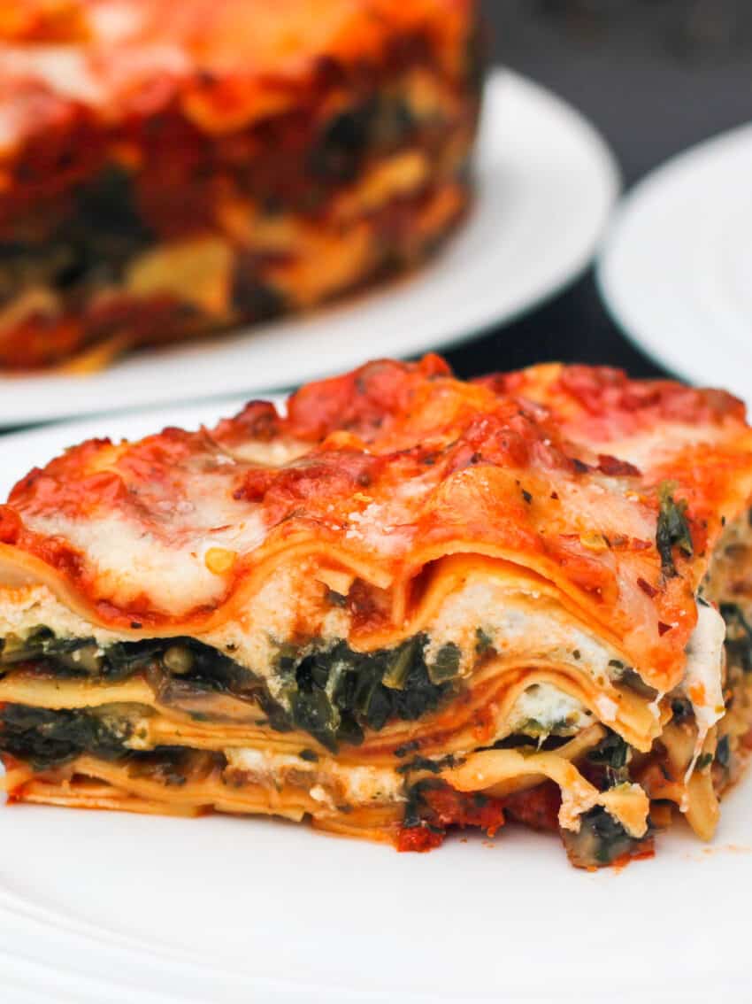 closeup photo of lasagna