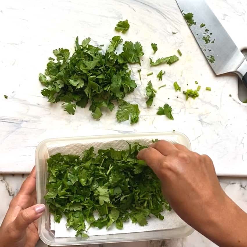 storing cilantro in a container