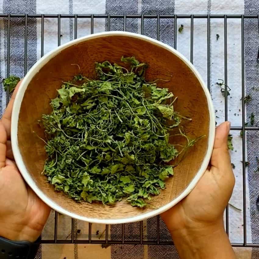 air dried cilantro in a bowl