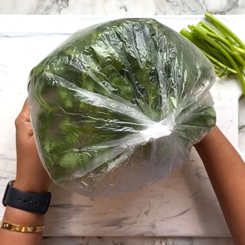 cilantro covered with produce bag