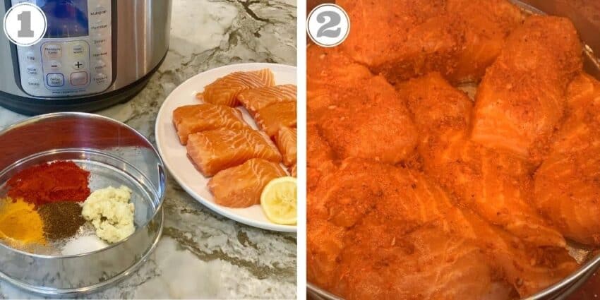 Instant Pot, spices, and salmon